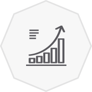 Financial accounting and budgeting icon