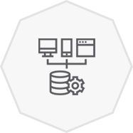Data Management and Network Systems Icon